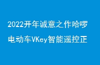 2022֮綯VKeyңʽ